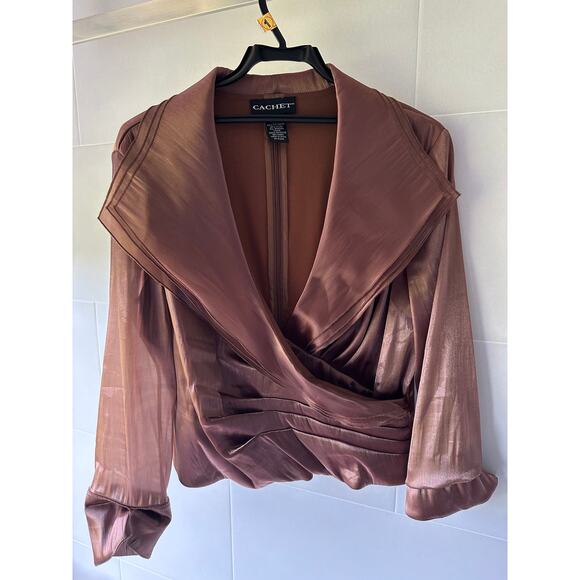 Cache Bronze Chiffon Spandex stretch shirt blouse top lined size 14 - Picture 1 of 10